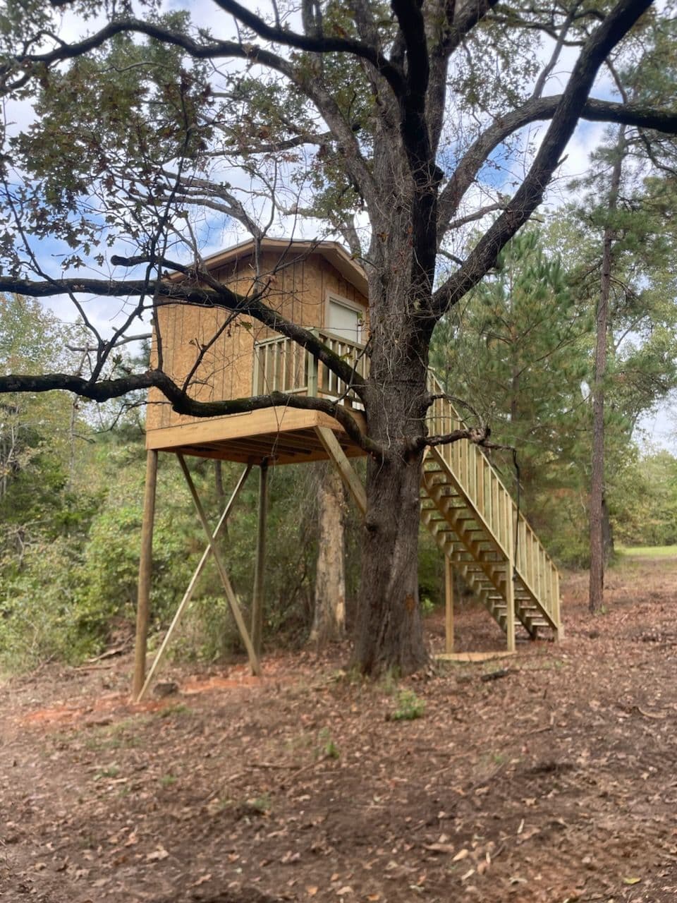 Project Rustic Treehouse in the Woods image